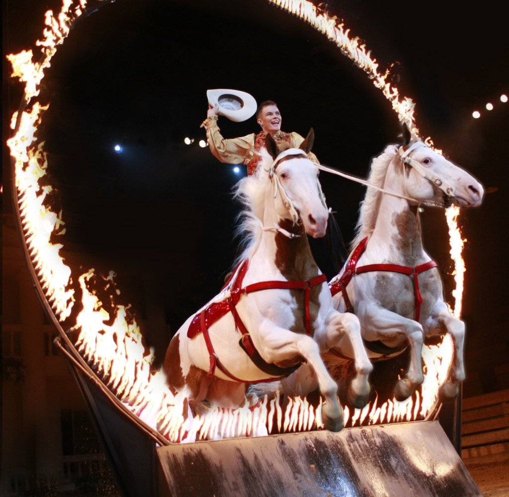 woman on twowhite horse jumping through ring of fire