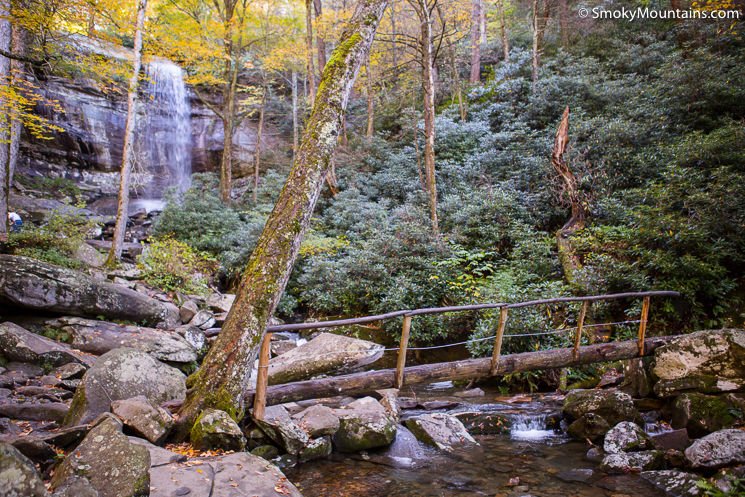 6 Reasons to Hike the Rainbow Falls Trail in Great Smoky Mtns