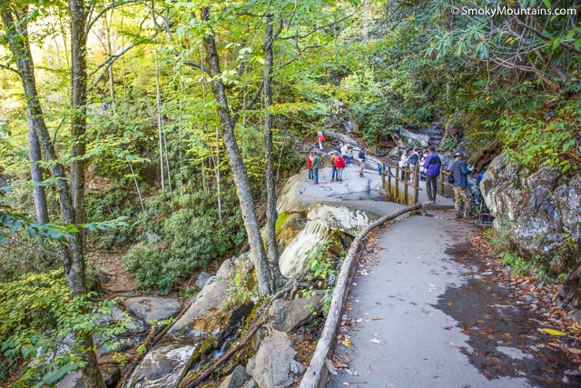 Top 5 Hiking Trails for Seniors in Great Smoky Mountains National Park