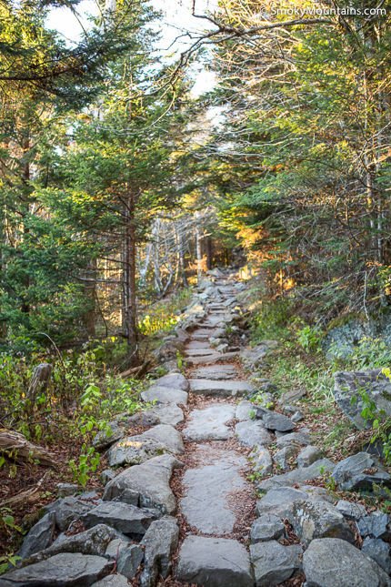 Andrews bald great smoky mountains hotsell