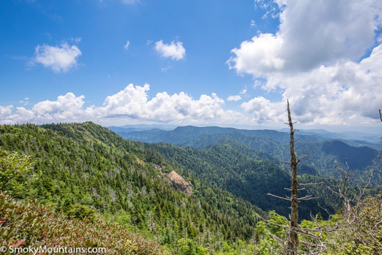 7 Tallest Peaks in the Great Smoky Mountains National Park