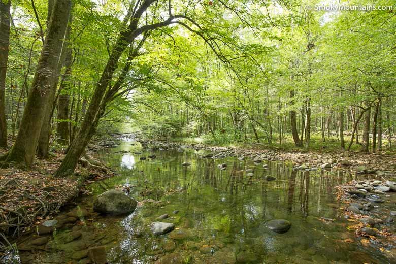 water stream flowing over rocks in forest