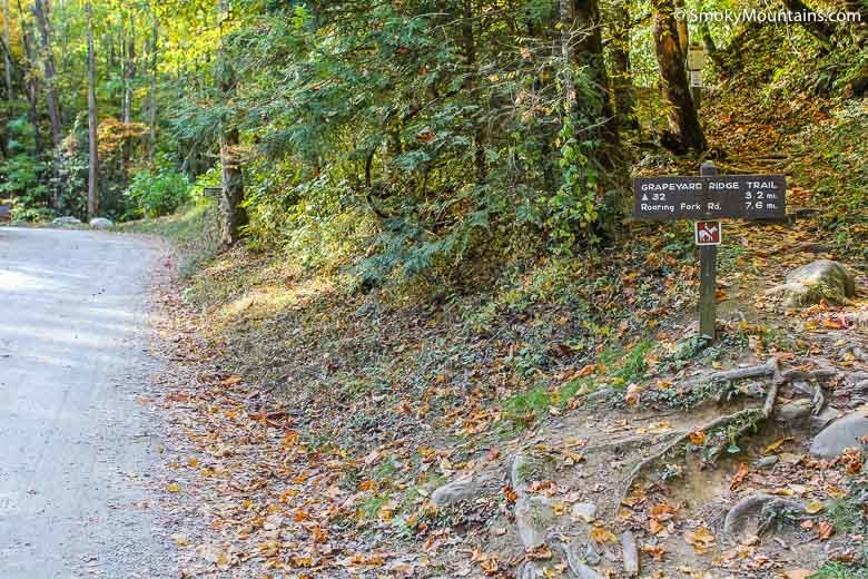 brown grapeyard ridge trail sign by a trail and gravel road