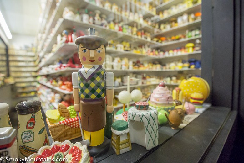 6 Great Educational Activities for Kids in Gatlinburg, TN