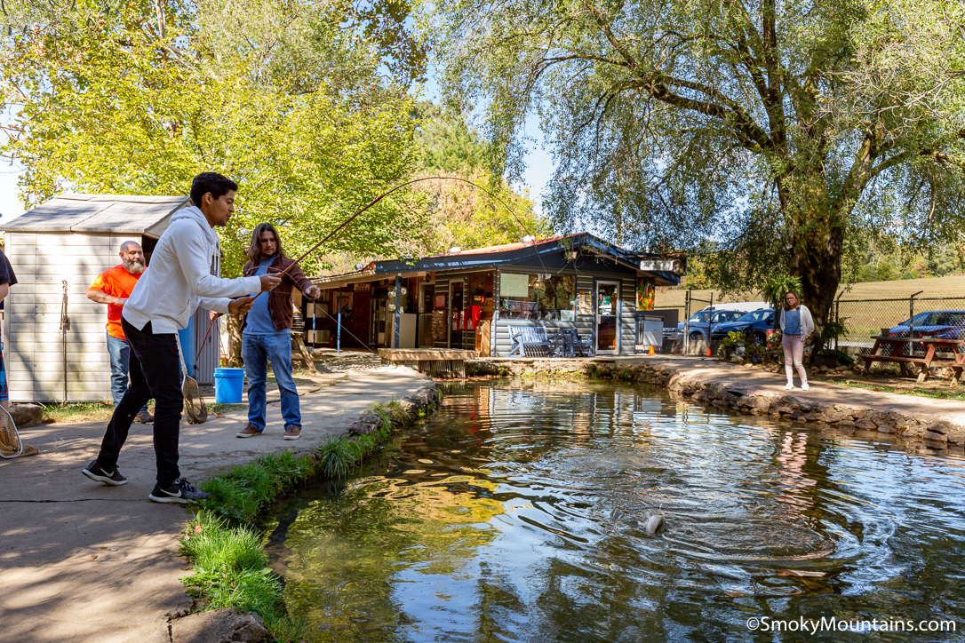 7 Interesting Facts About Sevierville We Bet You Didn't Know