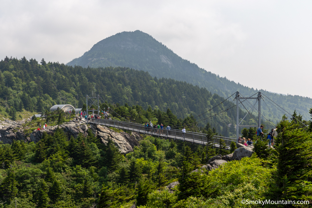 view of bridge at grandfather mountain with the mountaintops in the background