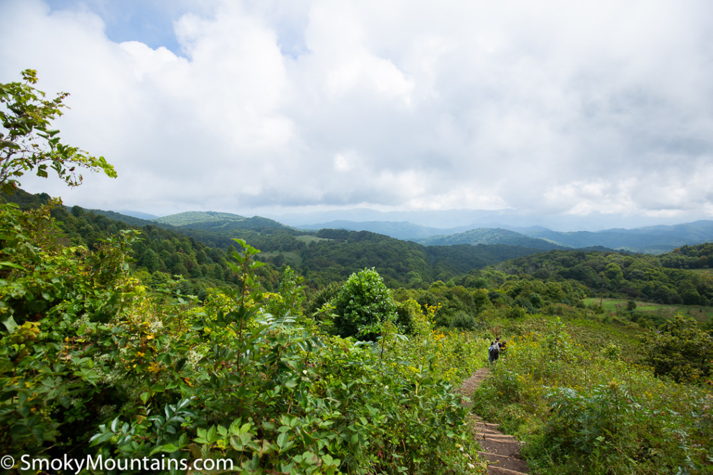 5 Reasons to Hike Max Patch Near Asheville, North Carolina