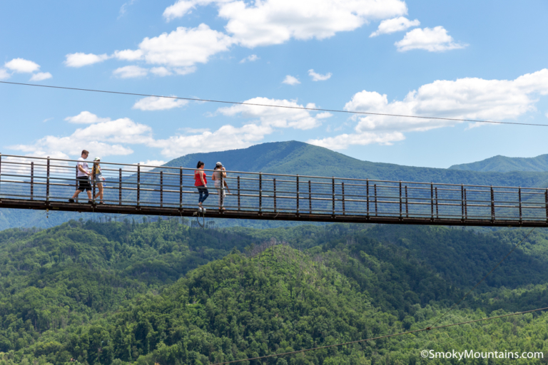 Gatlinburg's SkyBridge vs. Anakeesta's Skywalk: Which One is Better?