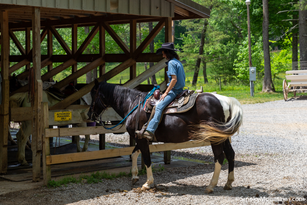 Cades Cove 10 FanFavorite Things To Do in the Area