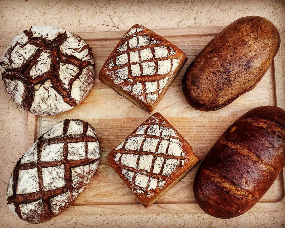 Celebrate All Things Baked at the Asheville Bread Festival