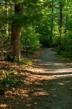 Hiking