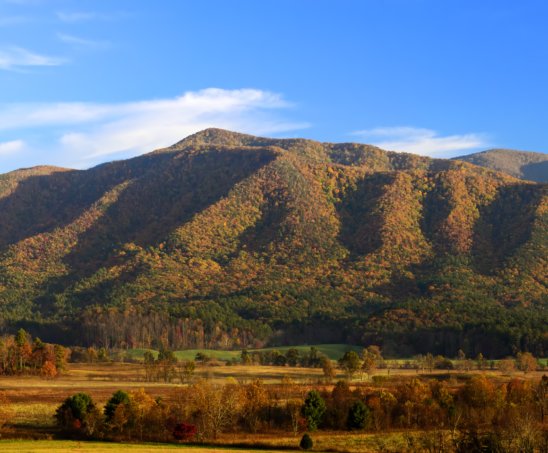 5 Gatlinburg Cabins with Amazing Views (Perfect for Fall!)