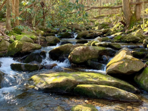 A Hiker's Paradise: The Top Hikes in Sevierville, TN