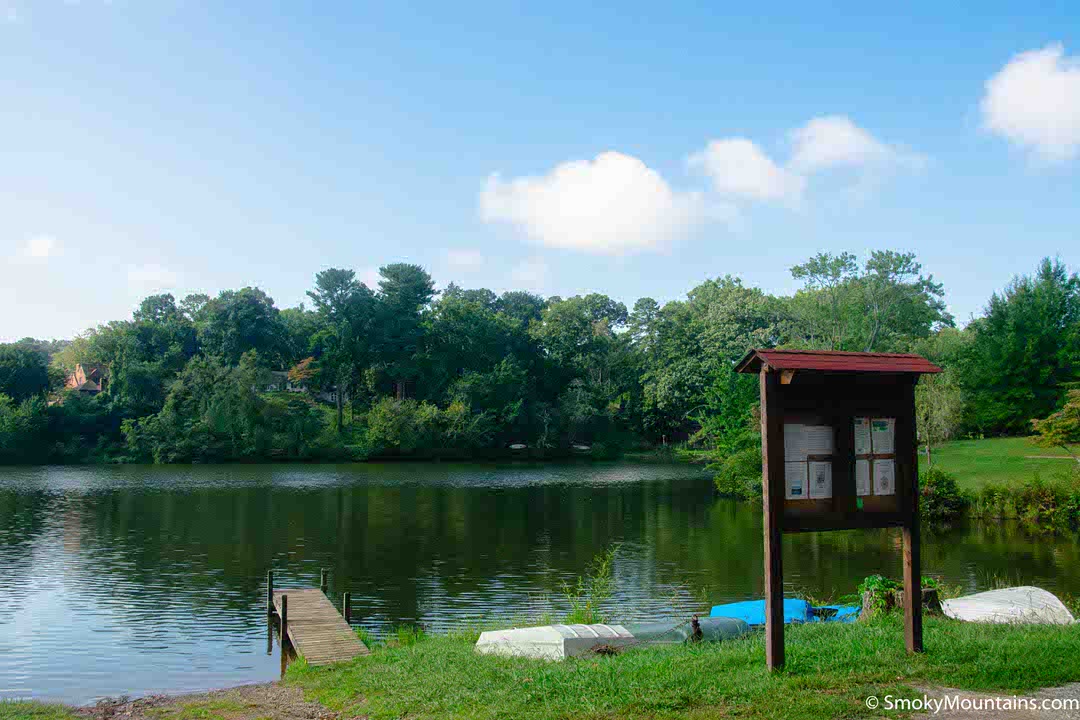 Eight Excellent Bird Watching Locations in Asheville