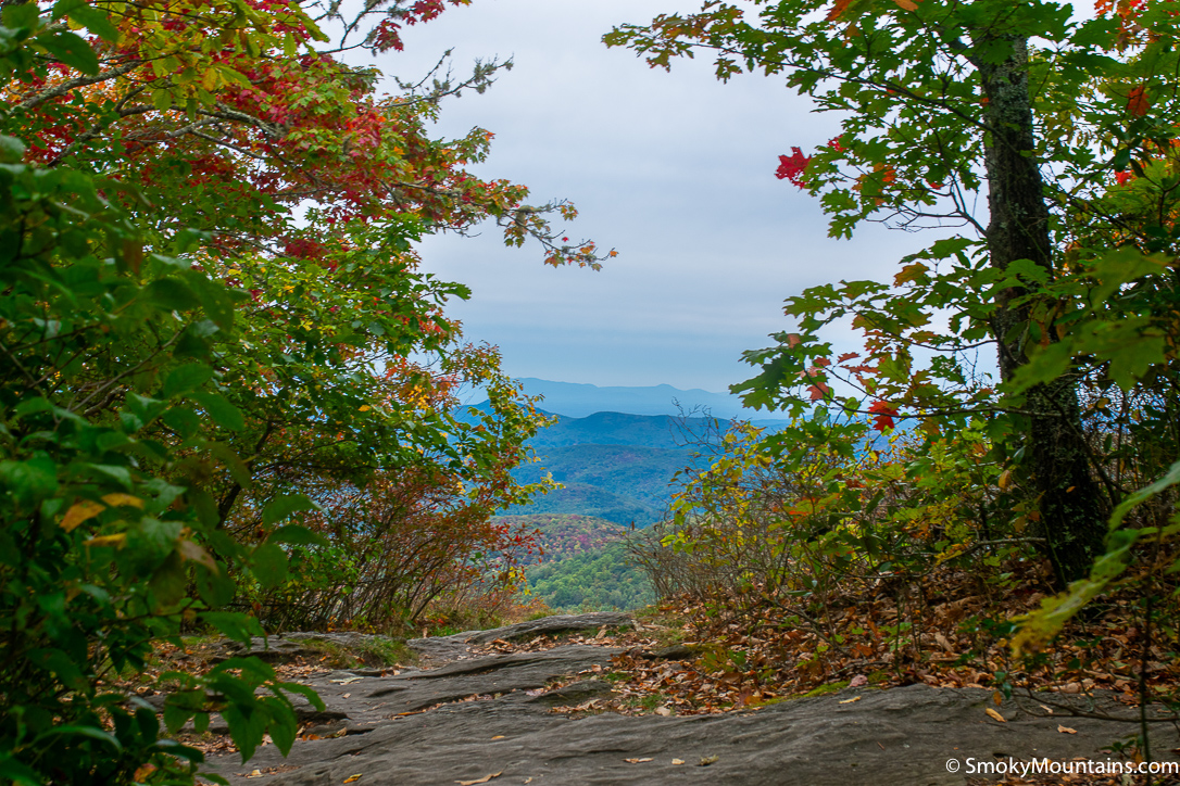 Downtown or Further Away? 6 Great Areas to Stay in and around Asheville