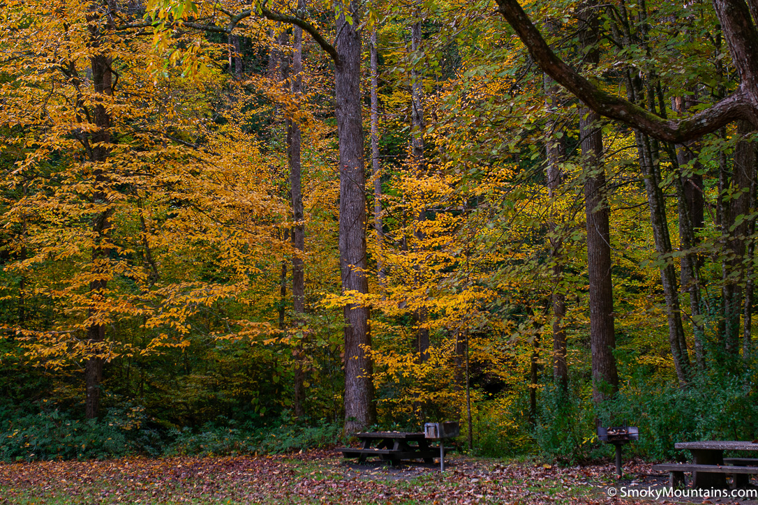 Most Stunning Scenic Drives &#038; Hikes Near Boone, NC: Perfect for Fall Time!