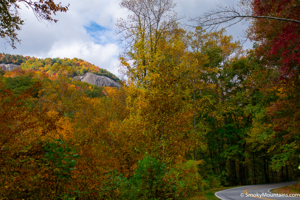 orange, reds, and yellows of fall colors in the trees by a road