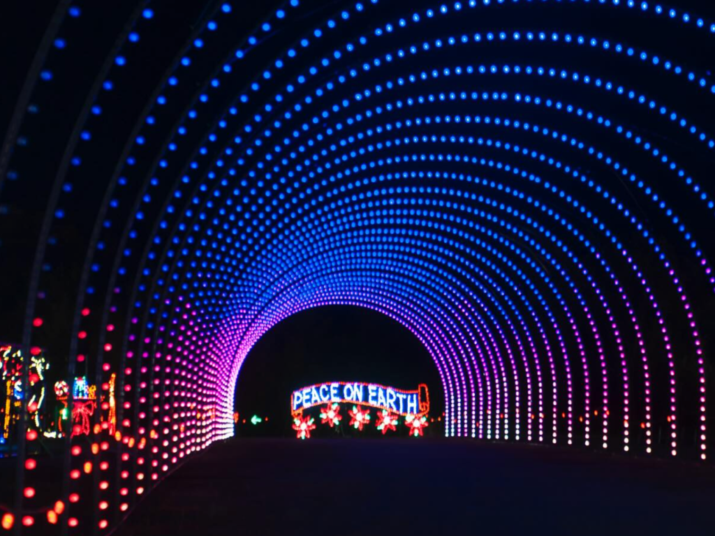 Top Activities to Enjoy in Pigeon Forge During the Month of February