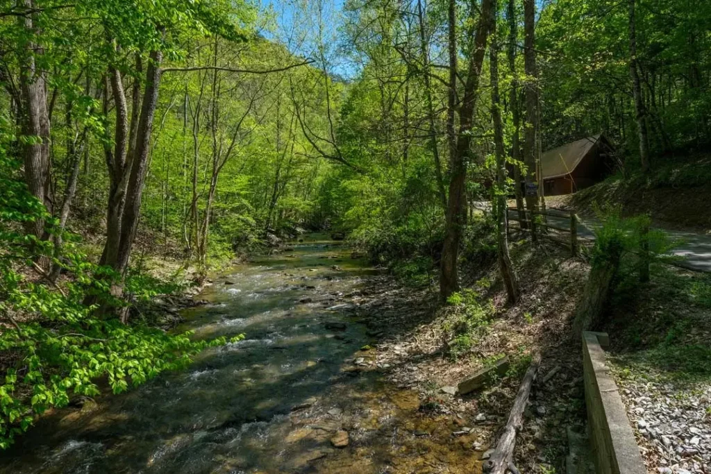 creek in the backyard of a cabin in tennessee with forest trees overhead