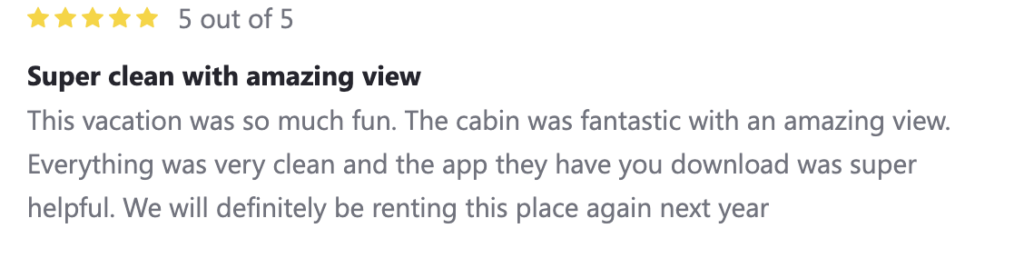 5 star review on how much fun the cabin rental vacation is