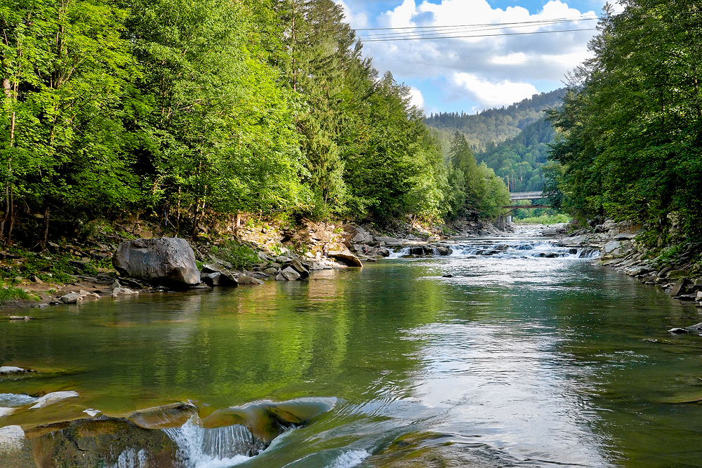 Pigeon River, Tennessee