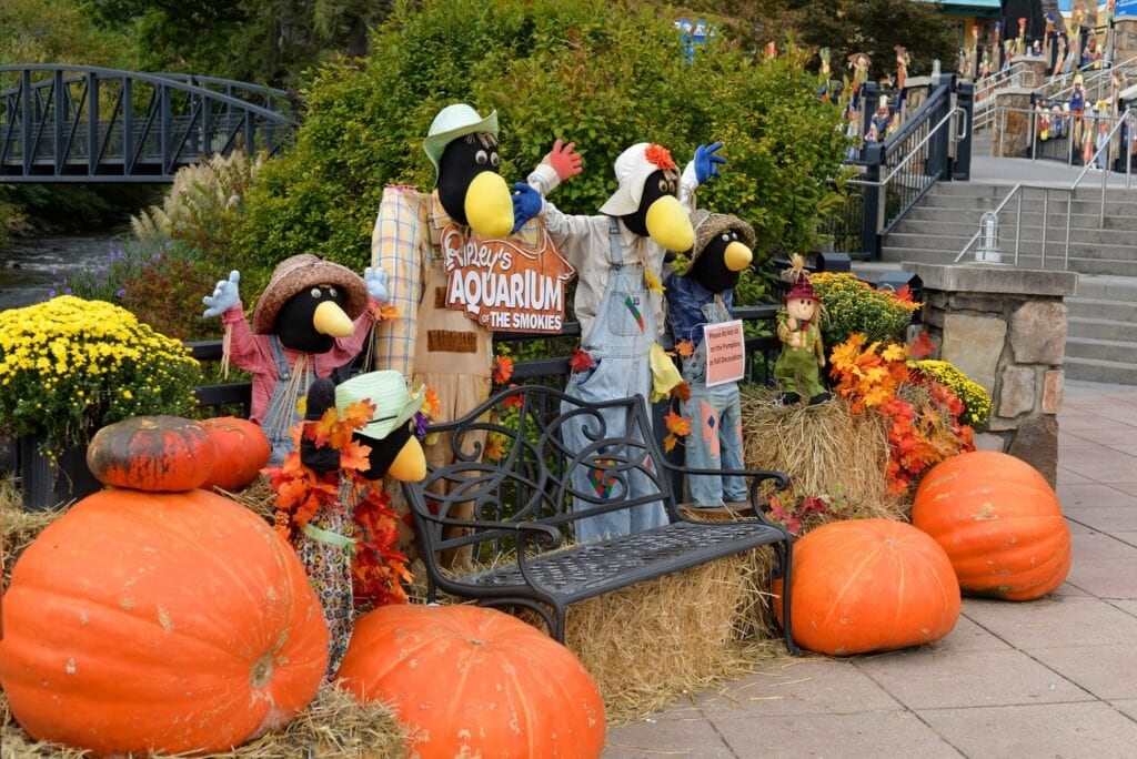 Fall Events in Gatlingburg 2025 You Don&#8217;t Want to Miss