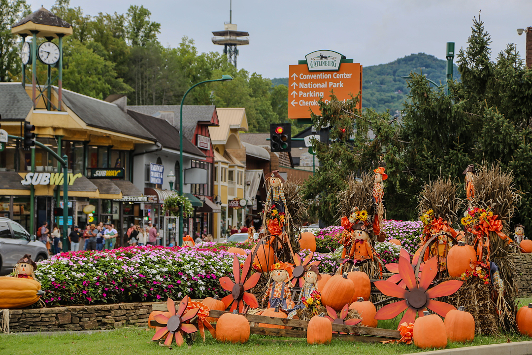 Fall Fun 101: Gatlinburg Pumpkin Carving Made Easy